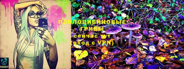 ALPHA PVP Алзамай