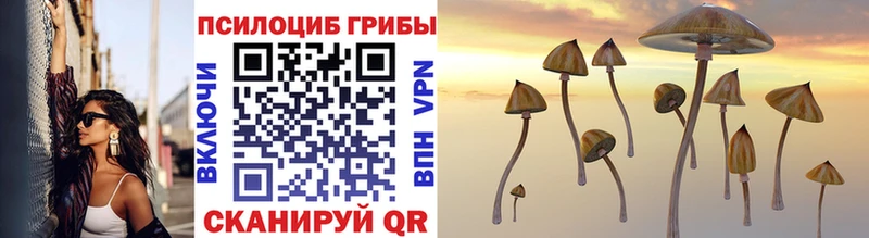 что такое   Владивосток  Галлюциногенные грибы Cubensis 