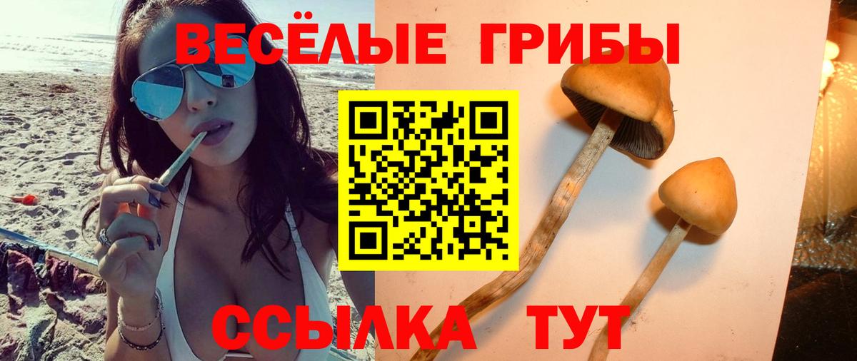 Cocaine Владивосток