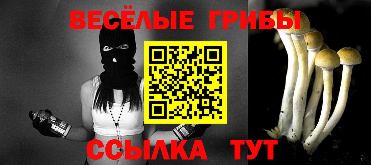 Владивосток  Галлюциногенные грибы ЛСД  Вход с VPN 