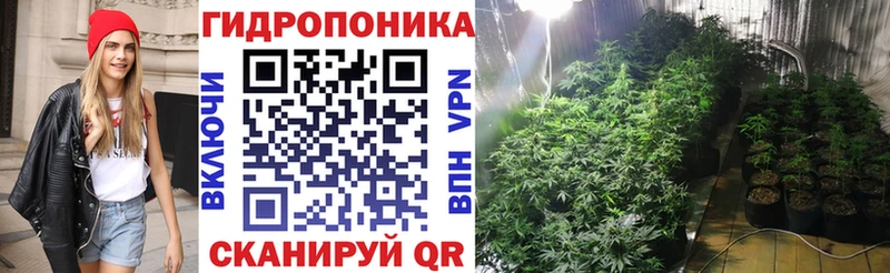 Шишки марихуана марихуана  дарк нет клад  Владивосток  сколько стоит 